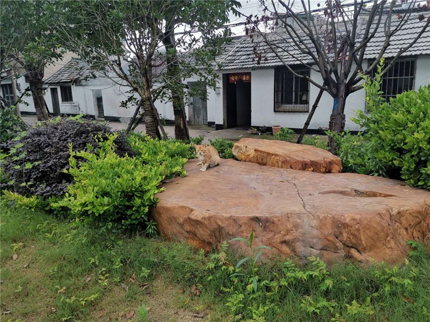 邳州市占城鎮(zhèn)芍藥園一期綠化工程 